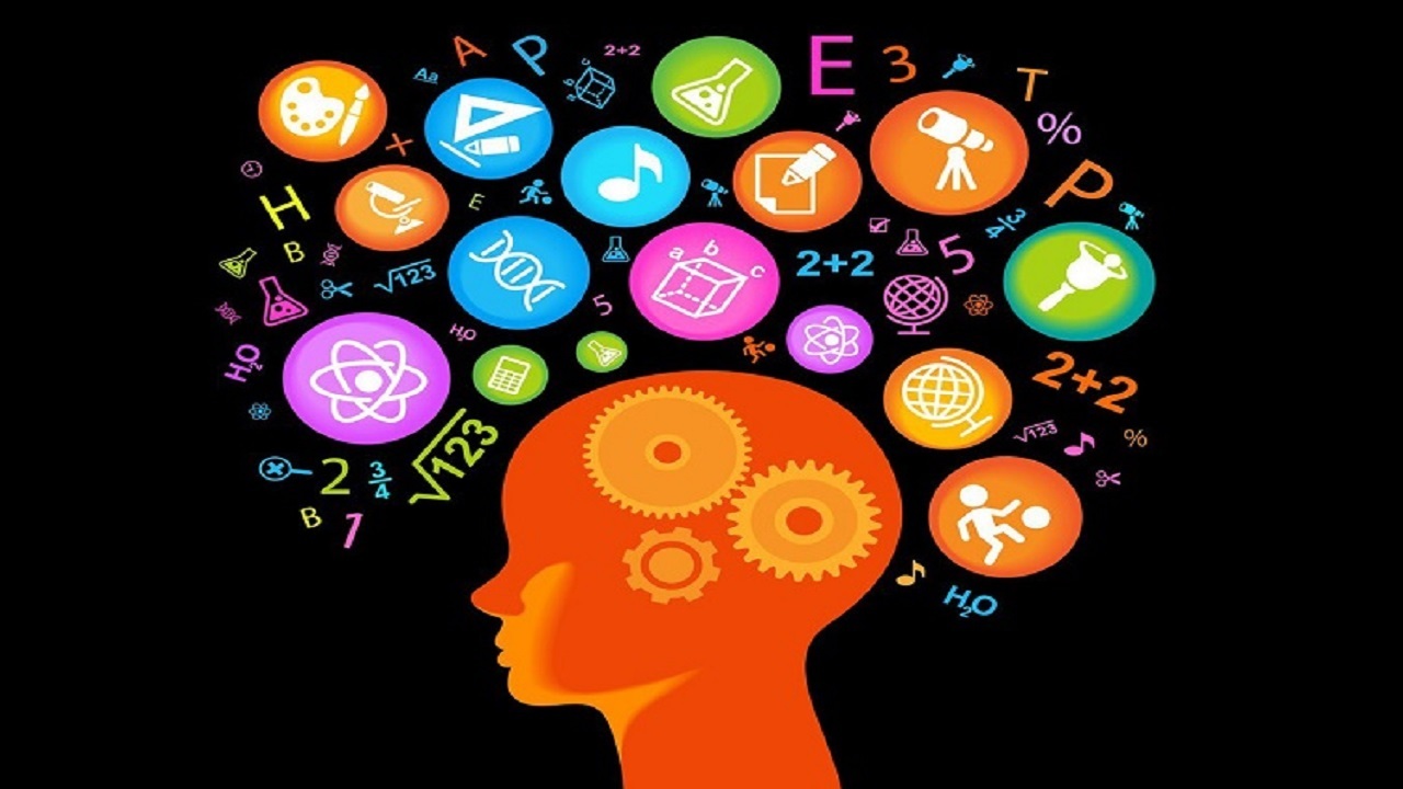 خوراکیهایی که به تقویت حافظه کمک میکنند | رنگ زندگی خوراکیهایی که به تقویت حافظه کمک میکنند