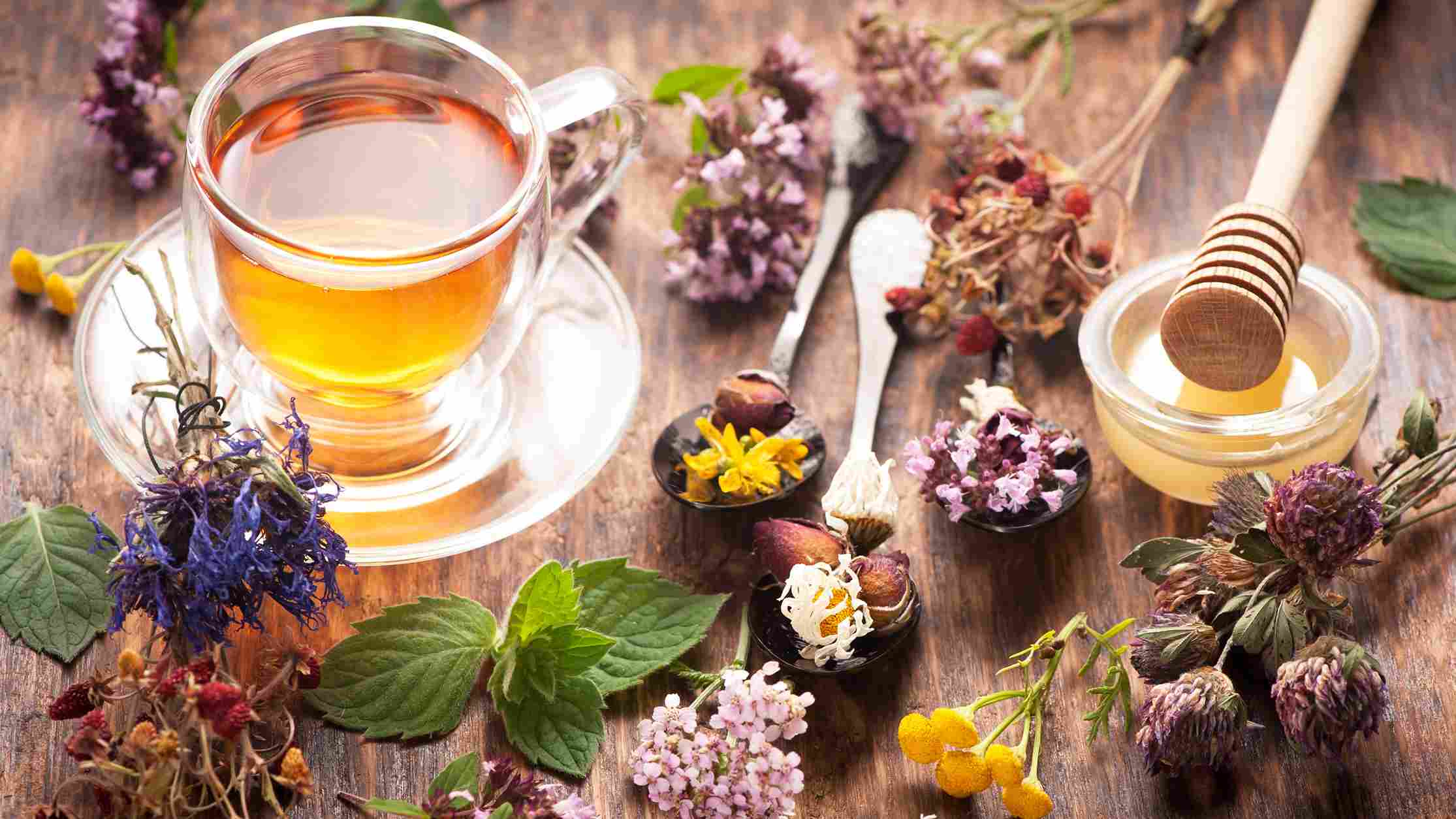 14 گیاه دارویی و دم‌نوش آرامش‌بخش