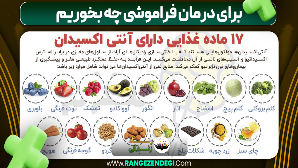 برای درمان فراموشی چه بخوریم | رنگ زندگی برای درمان فراموشی چه بخوریم