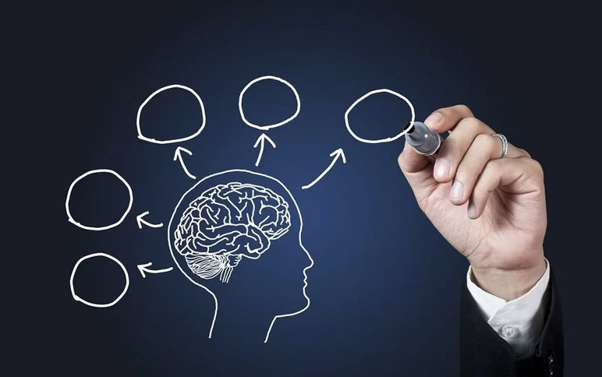 مواد غذایی مضر برای حافظه | رنگ زندگی مواد غذایی مضر برای حافظه