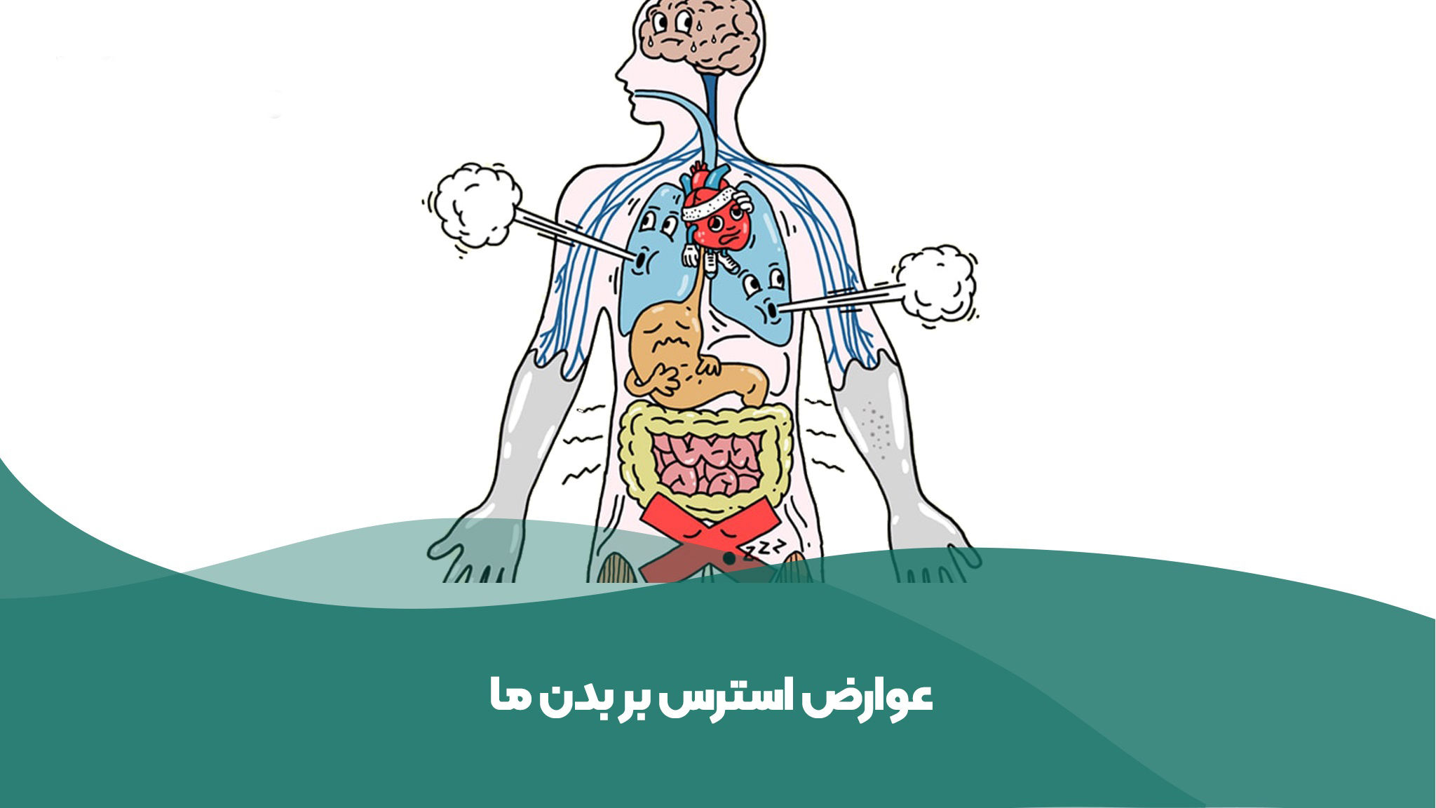 ارتباط استرس و بیماری‌های جسمی