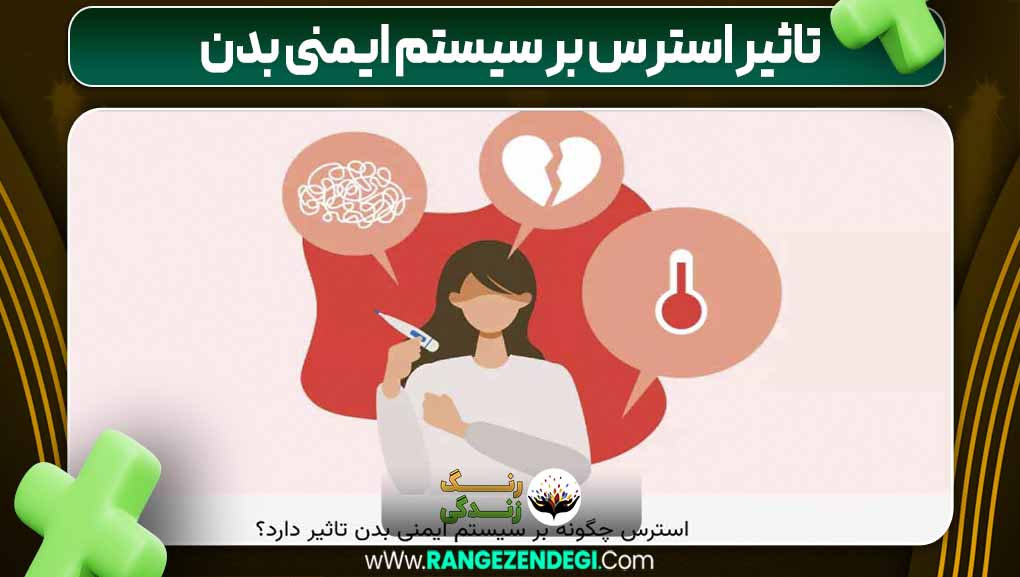 تاثیر استرس بر سیستم ایمنی بدن | رنگ زندگی تاثیر استرس بر سیستم ایمنی بدن