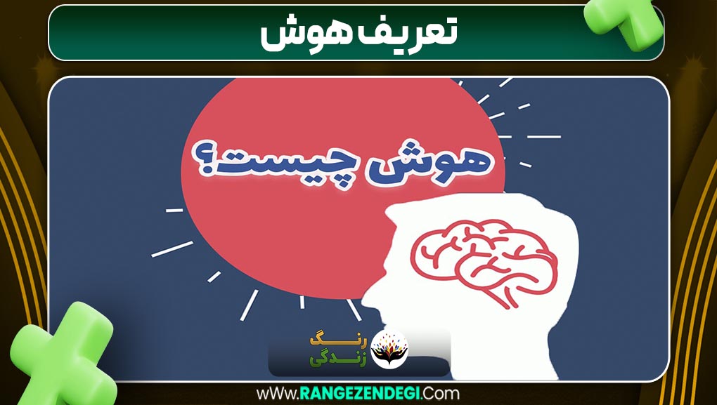 تعریف هوش | رنگ زندگی تعریف هوش