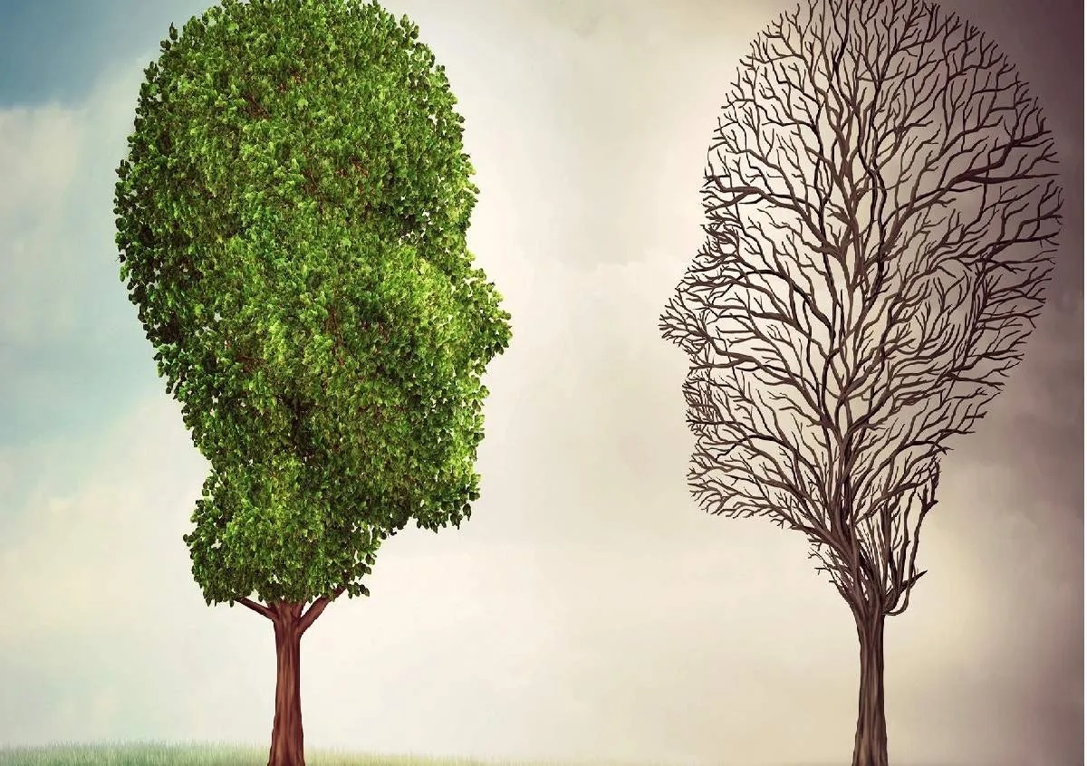 ذهن سالم و آرامش در زندگی | رنگ زندگی ذهن سالم و آرامش در زندگی